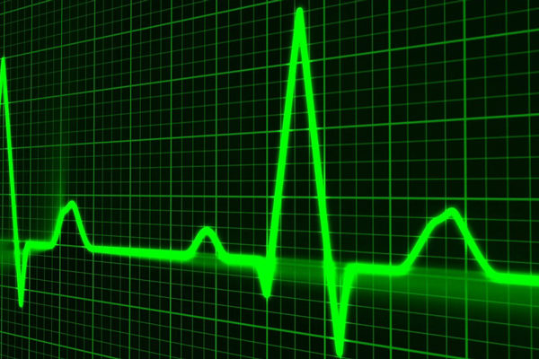 Investigadores chilenos descubren relación entre inhibir sistema nervioso y sobrevivir a cardiopatías
