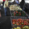 Canasta Alimentaria Familiar de febrero se ubicó en Bs 1.272.695