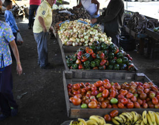 Caracas y San Cristóbal son las ciudades más costosas en alimentos