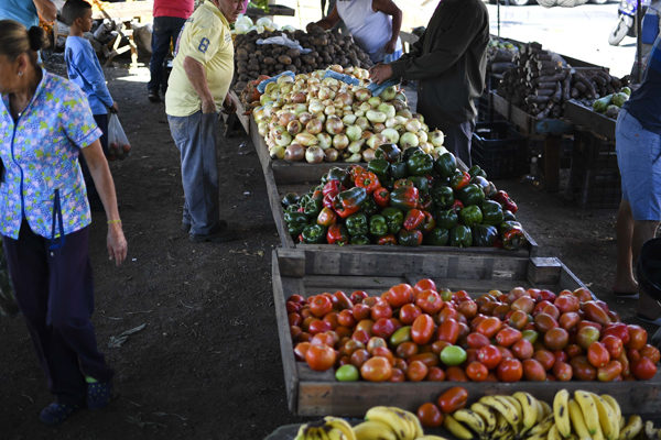 Fuertes lluvias en Trujillo comprometen abastecimiento nacional de hortalizas