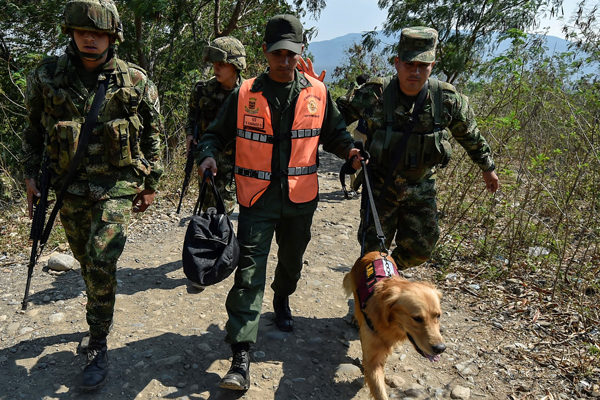 Más de 500 desertores de fuerza armada venezolana han llegado a Colombia