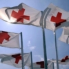 Venezuela recibió primer envío de ayuda humanitaria de la Cruz Roja