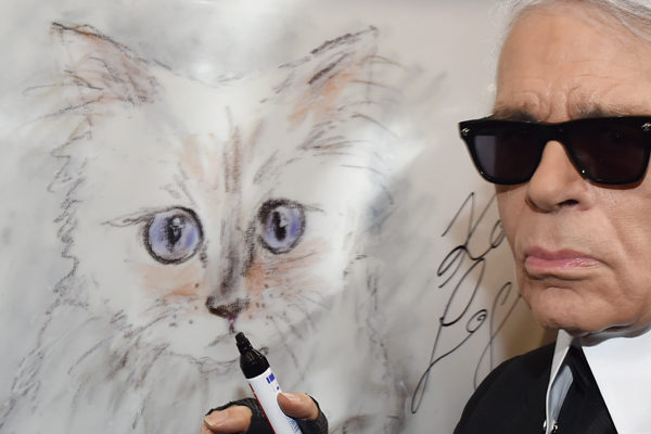 Choupette, la gata que podría recibir la herencia de Karl Lagerfeld