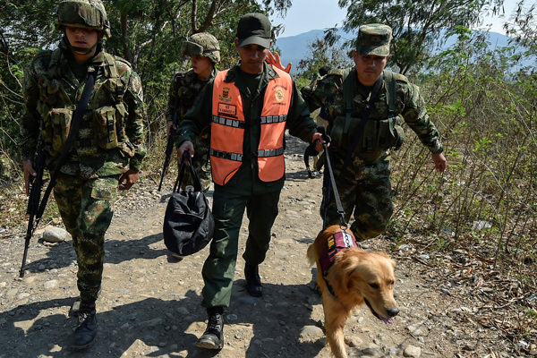 Venezuela ha incautado más de 18.900 kilos de droga en lo que va de 2021