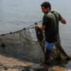 Maduro nombra a Juan Luis Laya como ministro de Pesca y Acuicultura