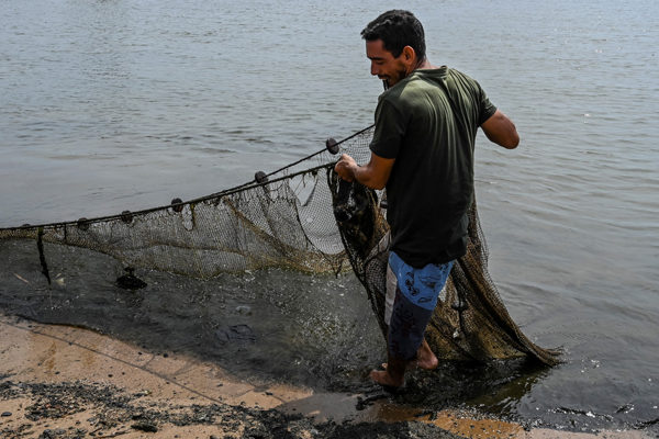 Sector acuícola y pesquero de Venezuela registra una producción de más de 144.000 toneladas