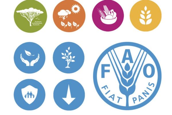 FAO: Venezuela y otros 40 países necesitan ayuda alimentaria externa
