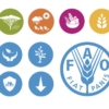 FAO: Venezuela debe asegurar insumos agrícolas para evitar caída en la producción