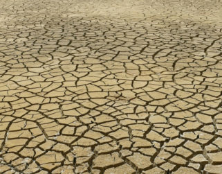 Global Footprint Network: La humanidad ya agotó los recursos del planeta para este año