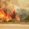 Los incendios arrasan casi un millón de hectáreas en Bolivia
