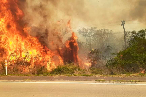 Bolivia usa avión super tanquero de Boeing para sofocar incendios en su área amazónica