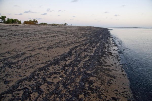 Petrolero con pabellón griego es «el principal sospechoso» de marea negra en Brasil