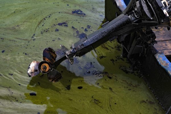 El Lago de Maracaibo sufre un «constante derrame de crudo»