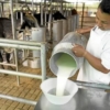 Consumo en caída libre arrastra al abismo a producción de lácteos