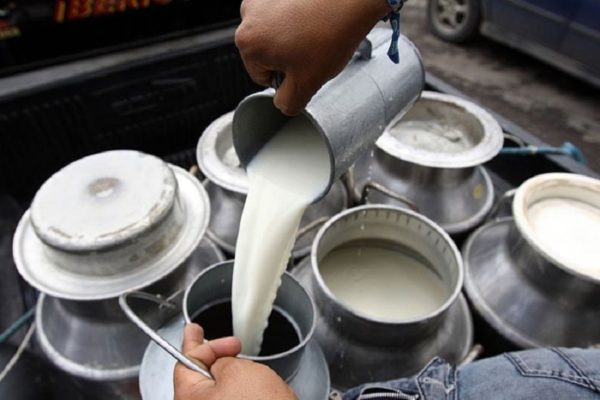 Cavilac advierte que producción láctea cayó 50% este año