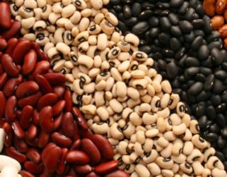 Agroproductores temen caídas de cosechas de entre 40% y 50% por escasez de combustibles