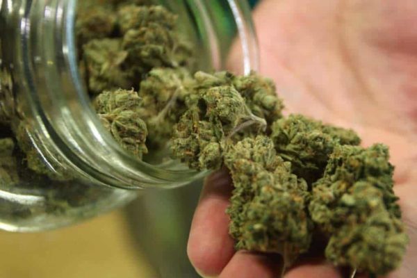 Panamá apunta al negocio del cannabis medicinal