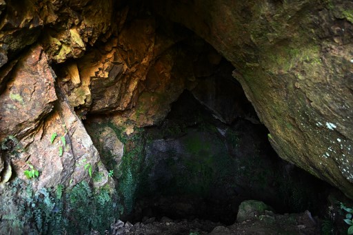 Las huellas de la minería en el bosque de Honduras, sesenta años después