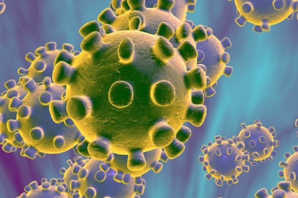 Se dispara acción de laboratorio que desarrolla vacuna experimental contra coronavirus