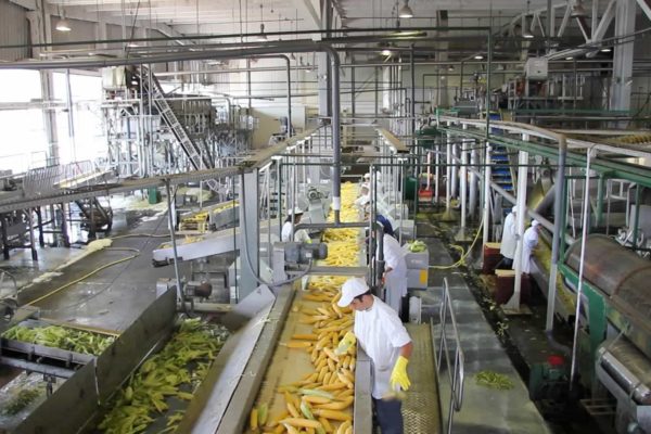 Cavidea: Sector agroindustrial continuará trabajando con normalidad