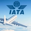 IATA: vuelos nacionales se reanudarían en junio y continentales en julio