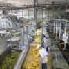 Cavidea: Sector agroindustrial continuará trabajando con normalidad