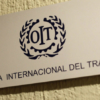 OIT: El desempleo juvenil en Latinoamérica bajó por tercer año consecutivo