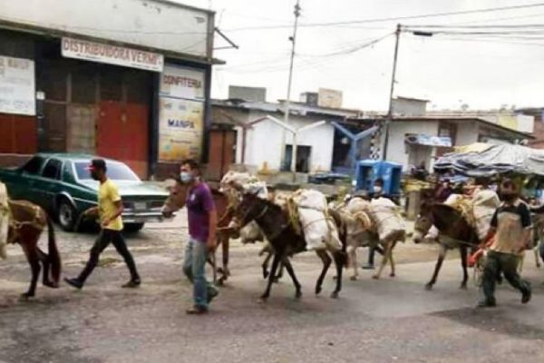 Cosechas de productos agrícolas se pudren por falta de combustible en Venezuela