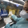 Rusia prevé iniciar producción de vacunas contra #Covid19 en noviembre