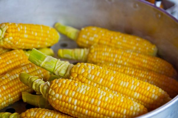 Crédito bancario solo financia 34% de la próxima siembra y hay déficit de 50.000 toneladas de fertilizantes