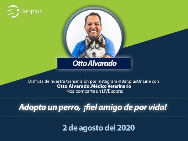 Banplus promueve la adopción de mascotas con charla del veterinario Otto Alvarado