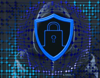 Pandemia y redes sociales potencian el auge de fraudes cibernéticos