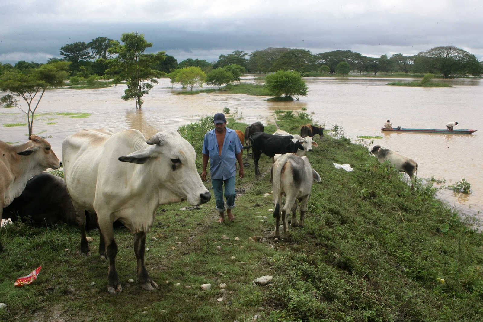 Producción de alimentos en Sur del Lago está paralizada por falta de ...