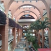 Cavececo: Cuarentena en Semana Santa será perjudicial para los comercios