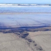 Ambientalistas denuncian contaminación por derrame de petróleo en playas de Falcón