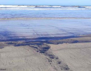 Diputada Maria Hernández denuncia nuevo derrame petrolero en Golfo Triste