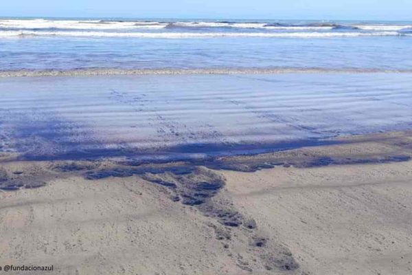 Diputada Maria Hernández denuncia nuevo derrame petrolero en Golfo Triste