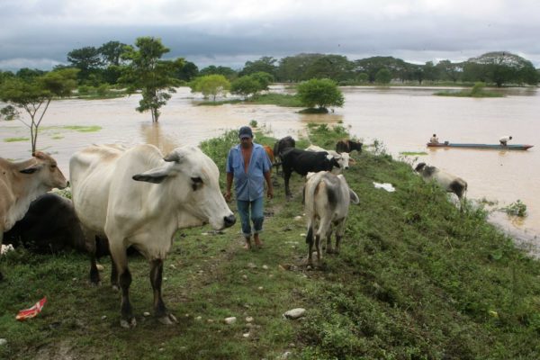 Producción de alimentos en Sur del Lago está paralizada por falta de combustible