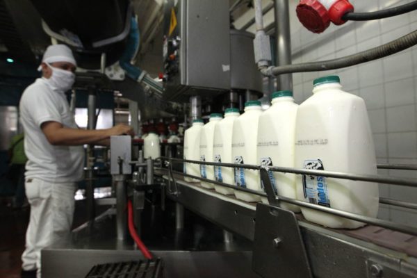 Cavilac: aumento del dólar y déficit de gasolina impactan industria láctea