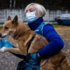 En Rusia, «perros chacales» aprenden a detectar #Covid19