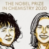 Estas son las ganadoras al Nobel de Química por reescribir el código de la vida