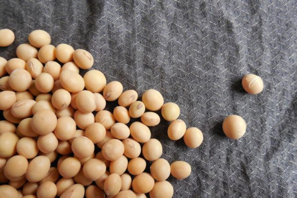 Consumo de soya en Venezuela se redujo a 250.000 toneladas al año