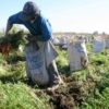 Productores merideños denuncian que aún son afectados por las alcabalas y la escasez de combustible