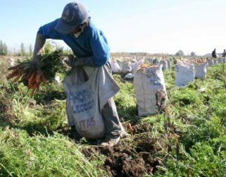 Fedeagro: Venezuela atraviesa una bonanza superficial que no beneficia en nada al sector agrario