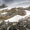Nuevas formas de vida emergen entre las rocas desnudas del último glaciar de Venezuela