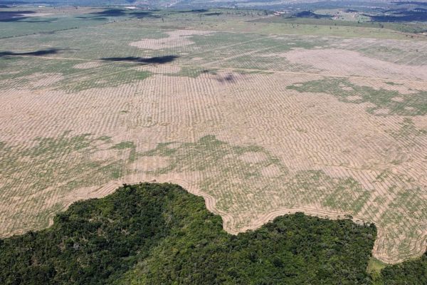 UE y países de la Amazonía trazan líneas de acción para combatir deforestación