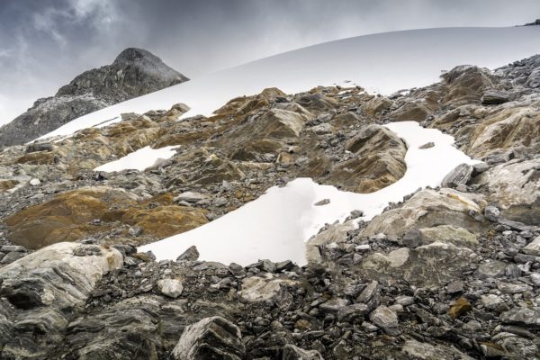 Nuevas formas de vida emergen entre las rocas desnudas del último glaciar de Venezuela