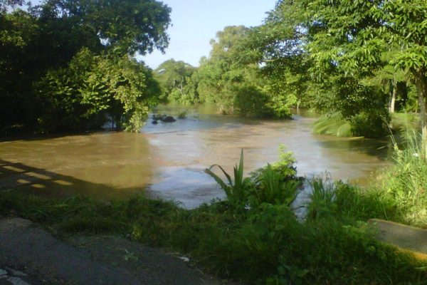 Denuncian derrame petrolero en Monagas que contamina el río Amana