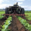 Capacidad productiva de fincas en el oriente y centro-sur del país ha disminuido por falta de combustible