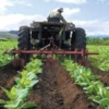Producción agrícola en Venezuela disminuyó 30% en 2020
